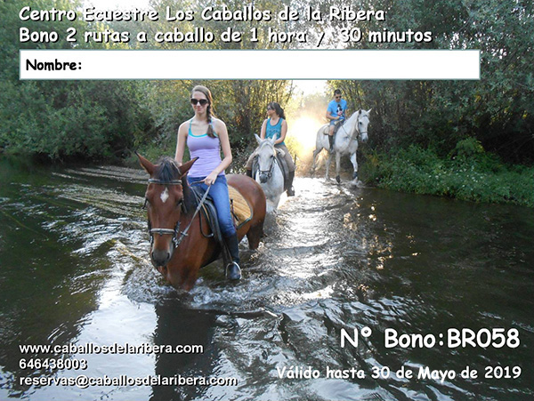 Bono caballosdelaribera.com